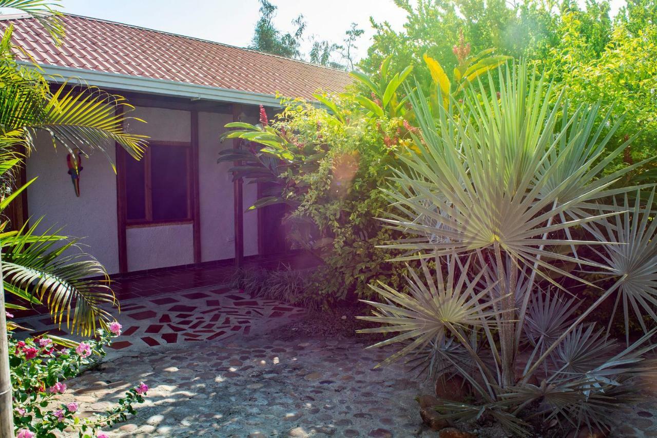 Hostal El Ruby Вільяв'єха Екстер'єр фото